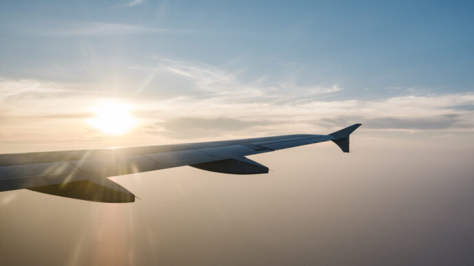 Minneapolis Deportation Flights