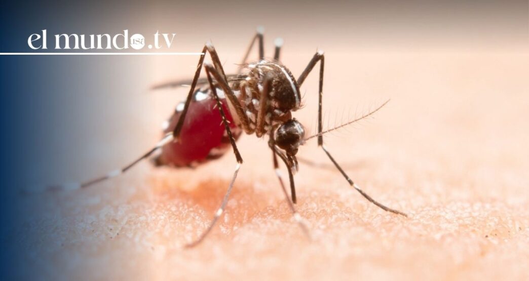 Chikungunya outbreak in Seychelles triggers U.S. travel alert