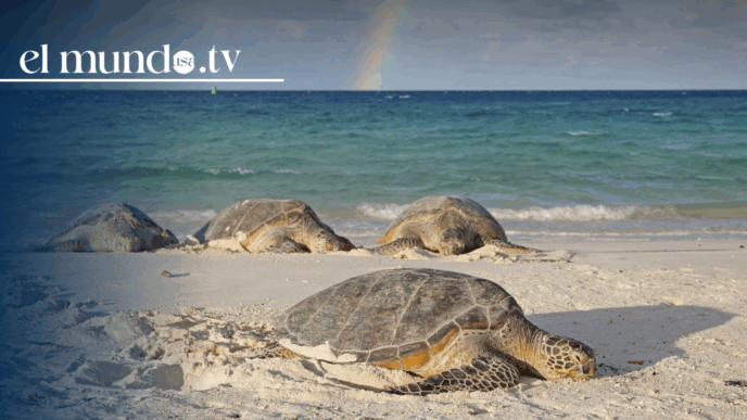 Sinaloa, where beaches, music, and parties come together in Mexico