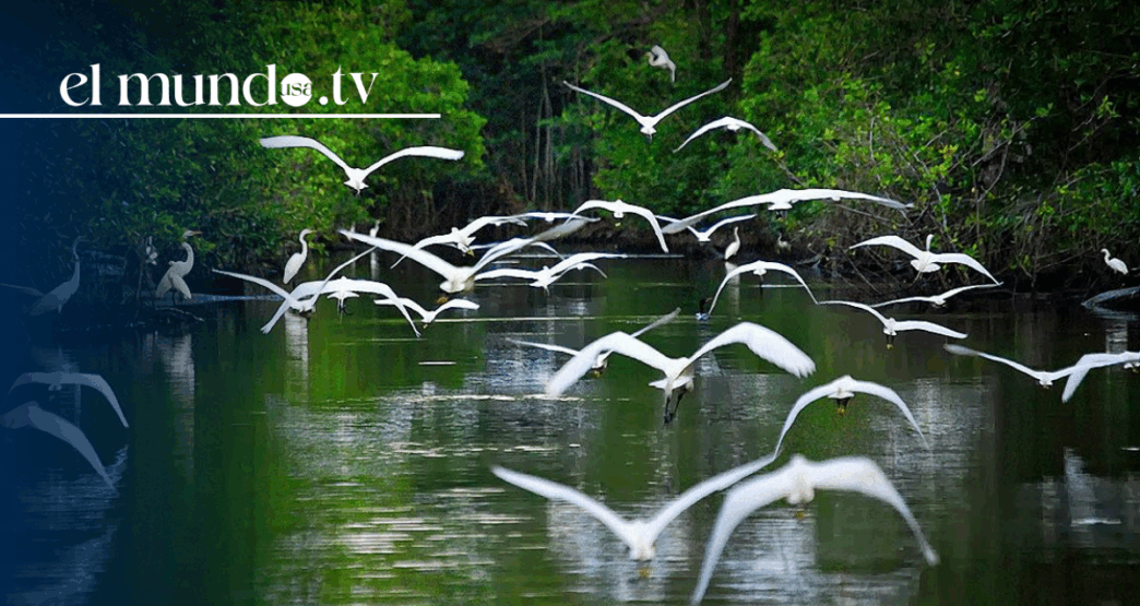 Tabasco: "The Eden" you must visit in Mexico this 2026