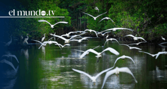 Tabasco: "The Eden" you must visit in Mexico this 2026