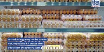 Food Safety Experts Warn That Cracked Eggs May Increase Bacterial Contamination Risk