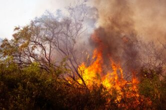 Federal Judge Declares Mistrial in Palisades Fire Arson Case After Jury Deadlock
