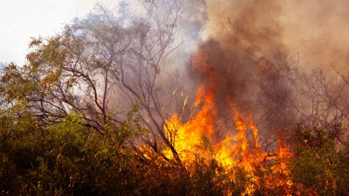Federal Judge Declares Mistrial in Palisades Fire Arson Case After Jury Deadlock